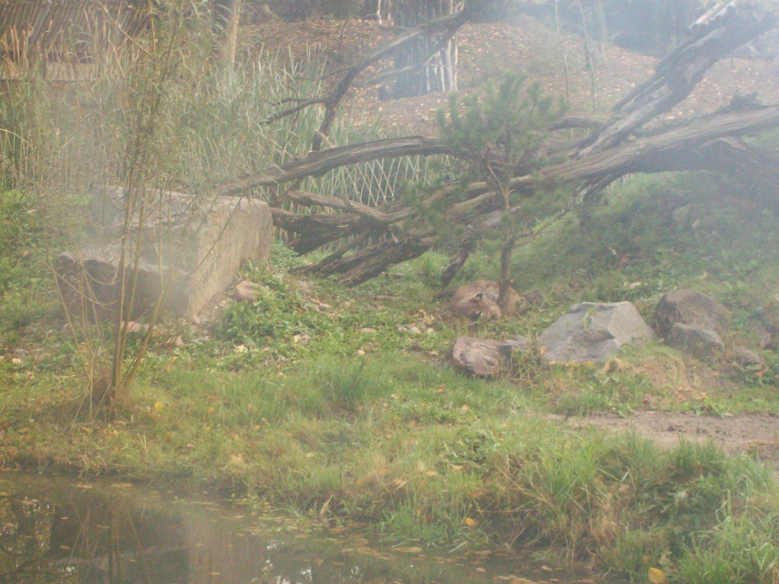 Zoom 18.10.2008-002.jpg